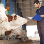 Third Party Veterinary Medicine Manufacturer in India: How the Model Works