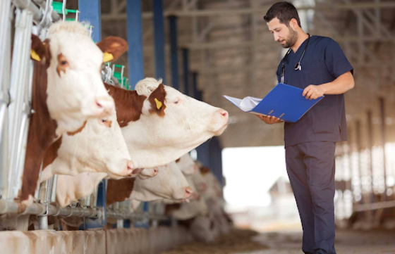 veterinary pharma company