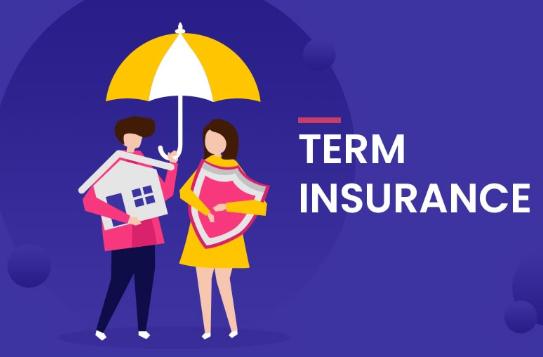 term insurance plan