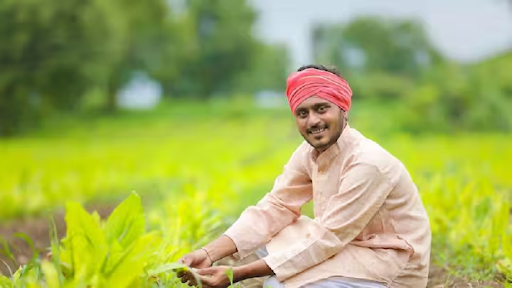 pm kisan yojana